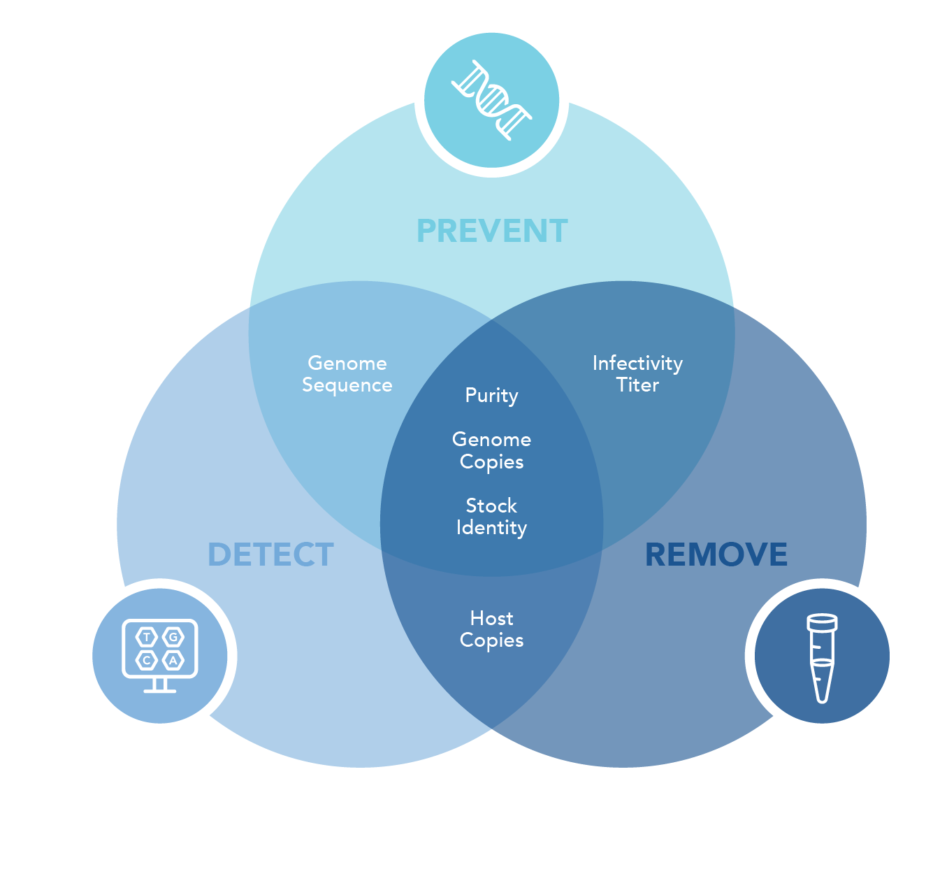 viral-safety ven-diagram